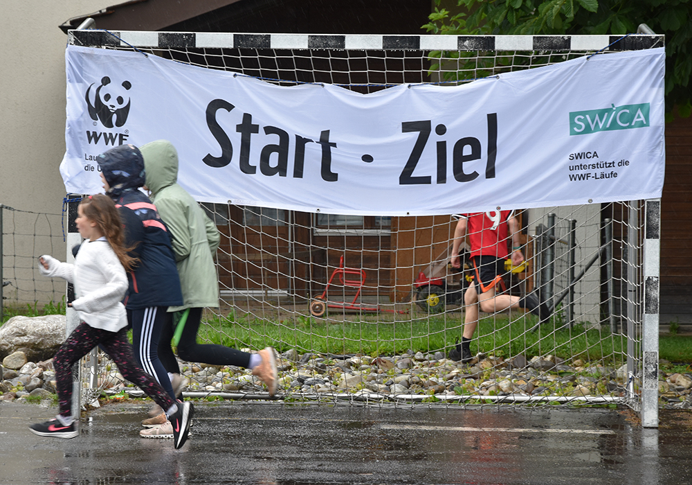 Titelbild